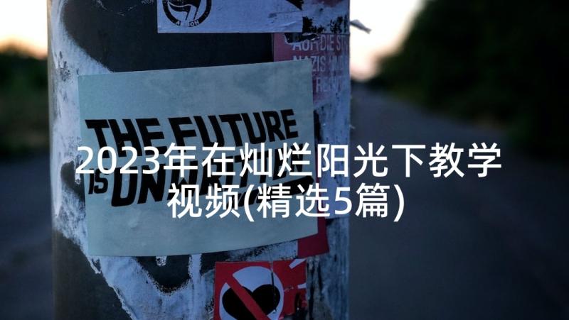 2023年在灿烂阳光下教学视频(精选5篇)