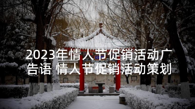 2023年情人节促销活动广告语 情人节促销活动策划方案(大全10篇)