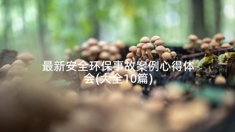 最新安全环保事故案例心得体会(大全10篇)