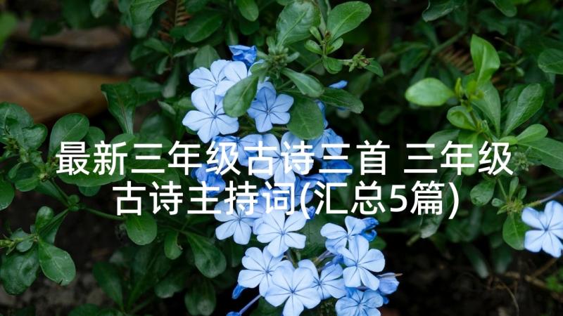 最新三年级古诗三首 三年级古诗主持词(汇总5篇)