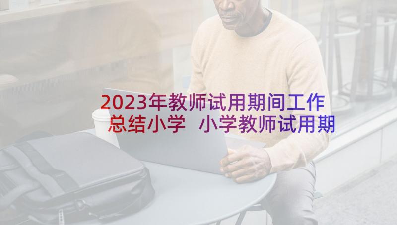 2023年教师试用期间工作总结小学 小学教师试用期转正工作总结(大全5篇)