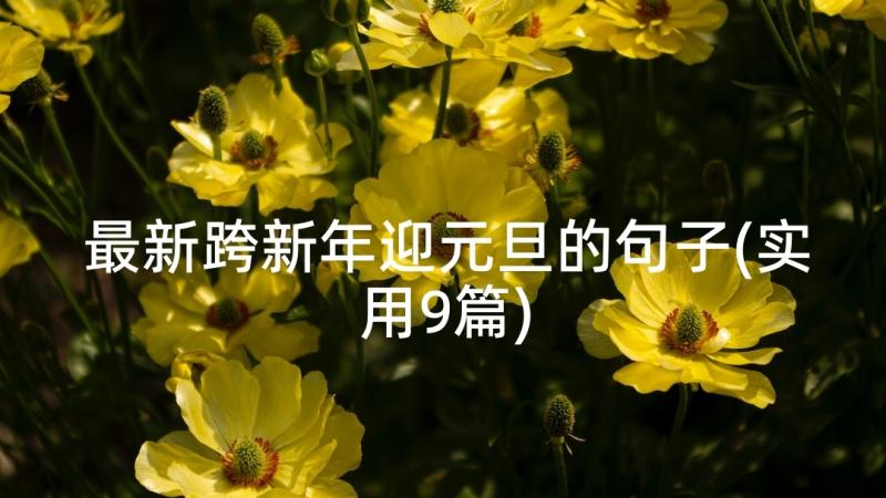 最新跨新年迎元旦的句子(实用9篇)