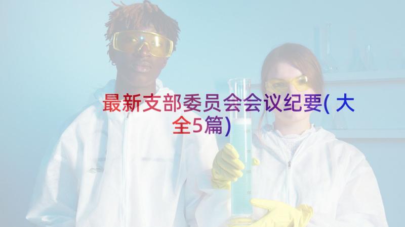 最新支部委员会会议纪要(大全5篇)