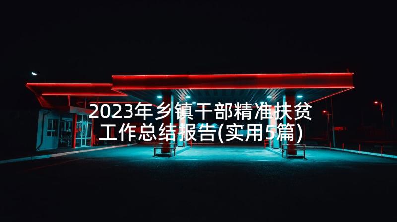 2023年乡镇干部精准扶贫工作总结报告(实用5篇)