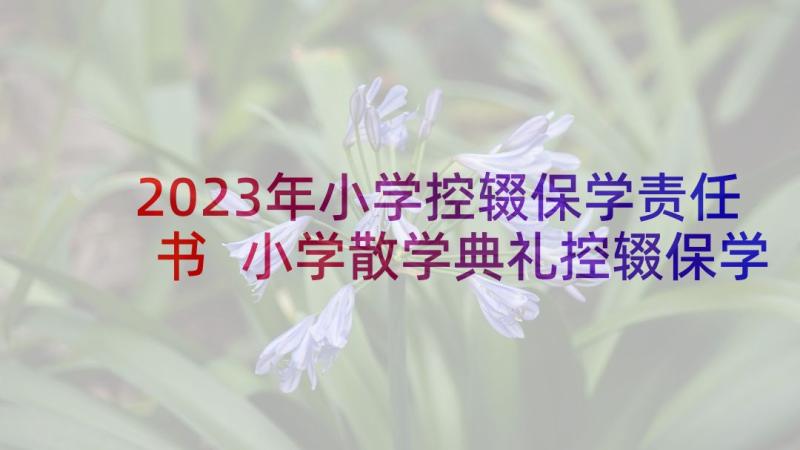 2023年小学控辍保学责任书 小学散学典礼控辍保学简报(优秀5篇)