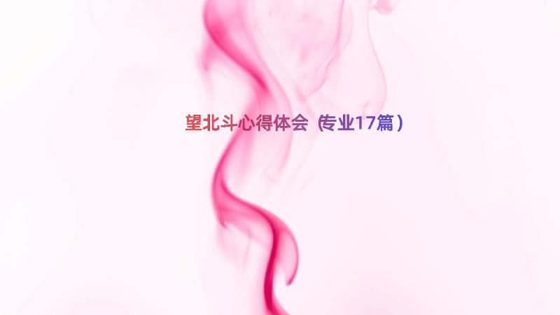 望北斗心得体会（专业17篇）