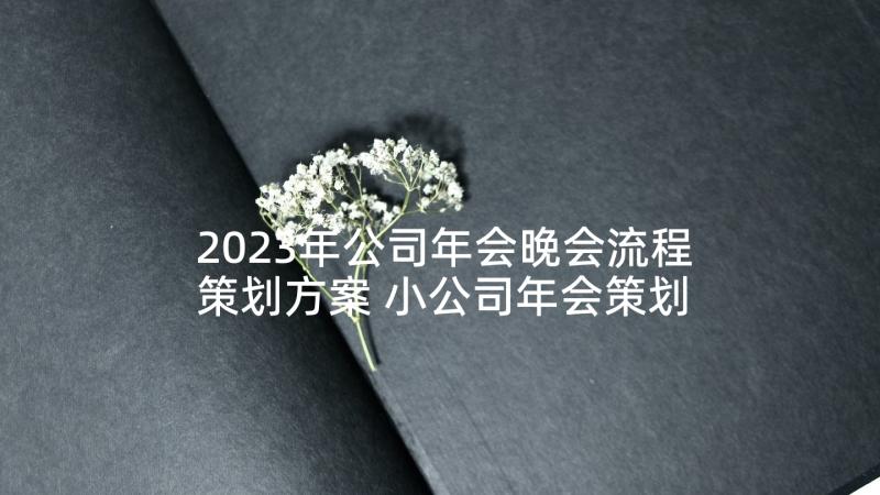 2023年公司年会晚会流程策划方案 小公司年会策划流程(通用10篇)