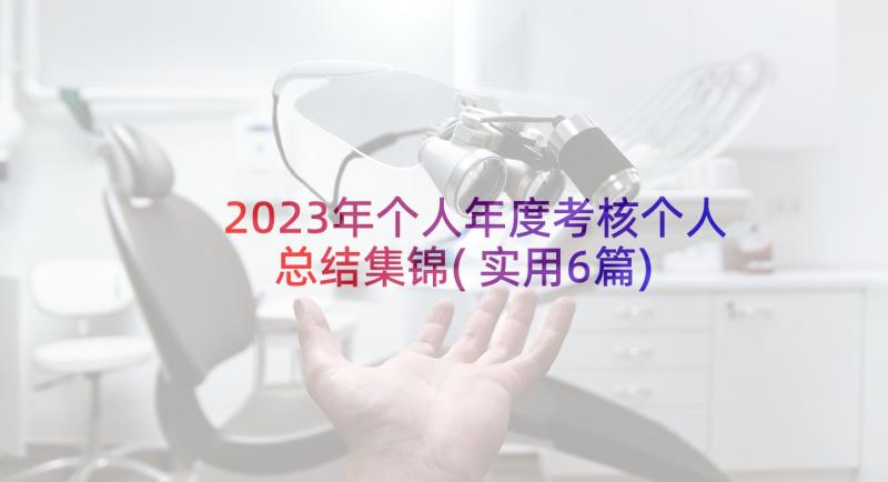 2023年个人年度考核个人总结集锦(实用6篇)