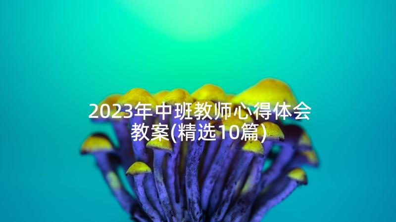 2023年中班教师心得体会教案(精选10篇)