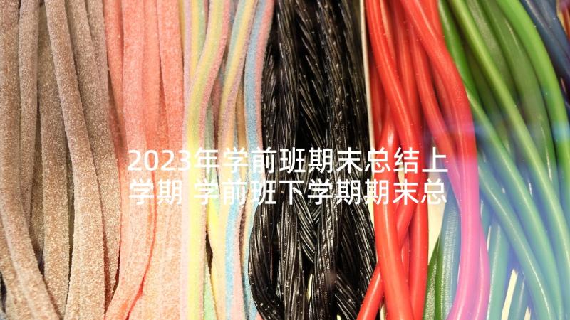 2023年学前班期末总结上学期 学前班下学期期末总结(大全6篇)