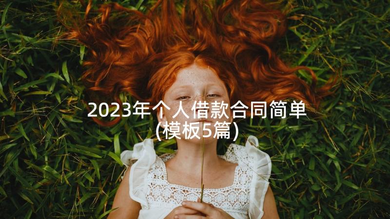 2023年个人借款合同简单(模板5篇)