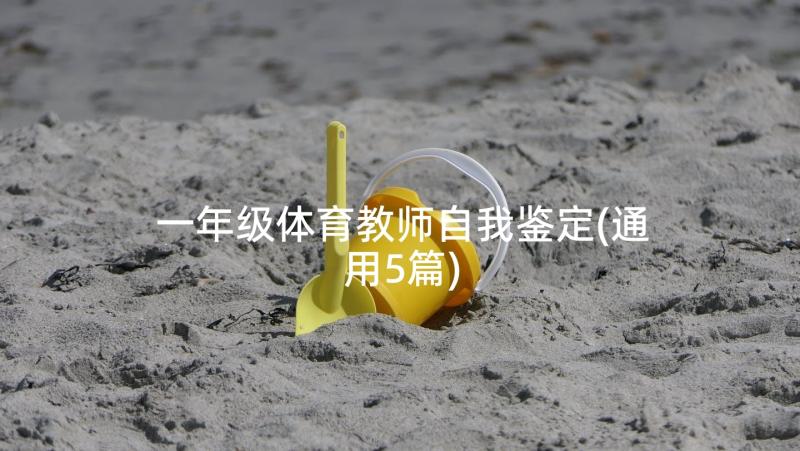 一年级体育教师自我鉴定(通用5篇)