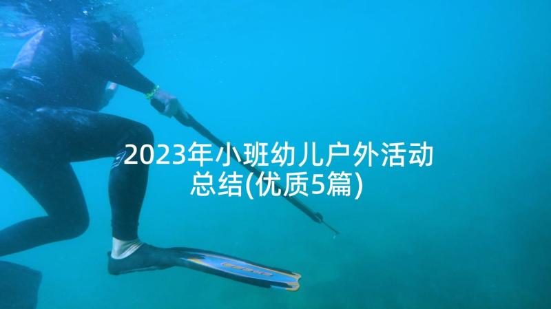 2023年小班幼儿户外活动总结(优质5篇)