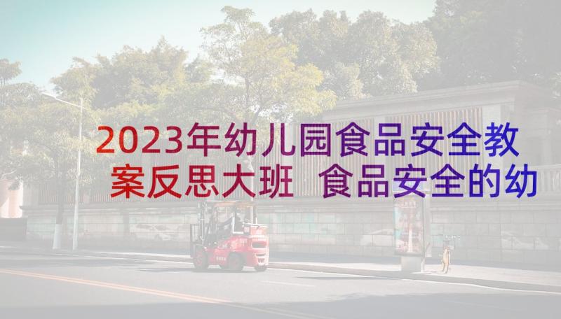 2023年幼儿园食品安全教案反思大班 食品安全的幼儿园教案(模板10篇)