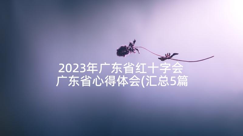 2023年广东省红十字会 广东省心得体会(汇总5篇)