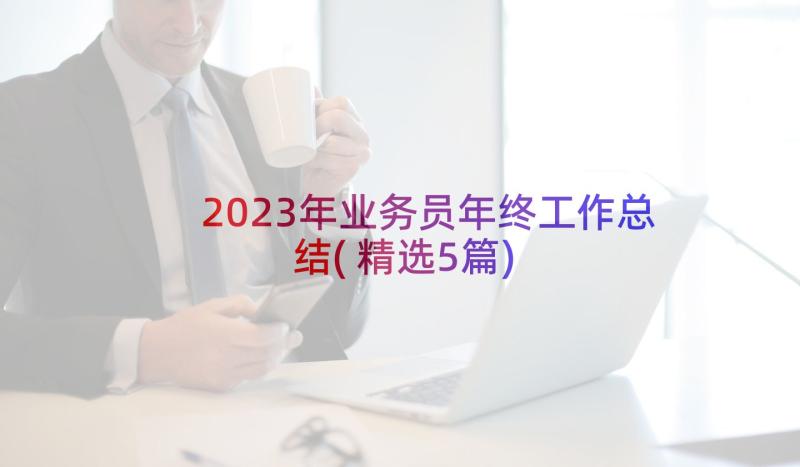 2023年业务员年终工作总结(精选5篇)