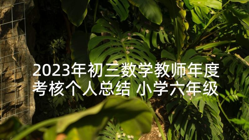 2023年初三数学教师年度考核个人总结 小学六年级数学教师个人年度考核总结(汇总5篇)