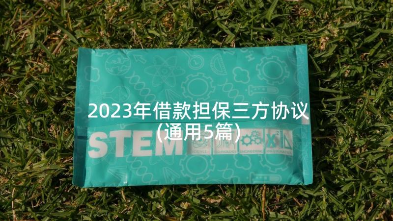 2023年借款担保三方协议(通用5篇)