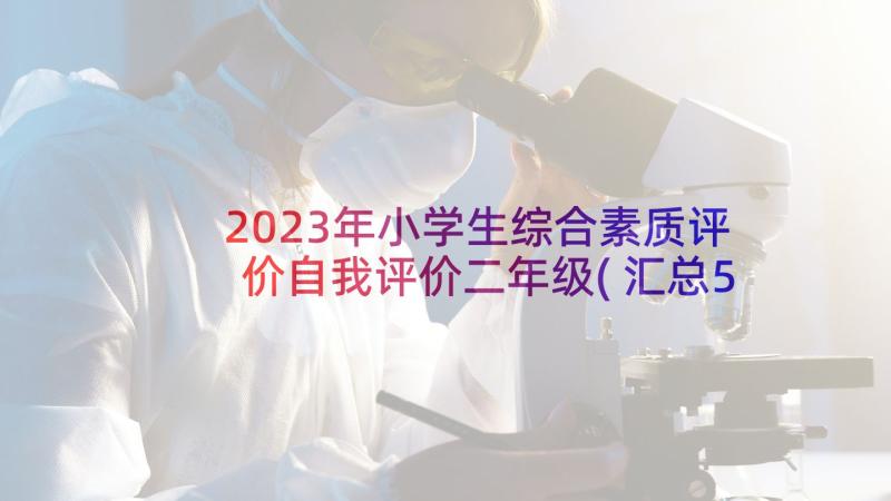 2023年小学生综合素质评价自我评价二年级(汇总5篇)