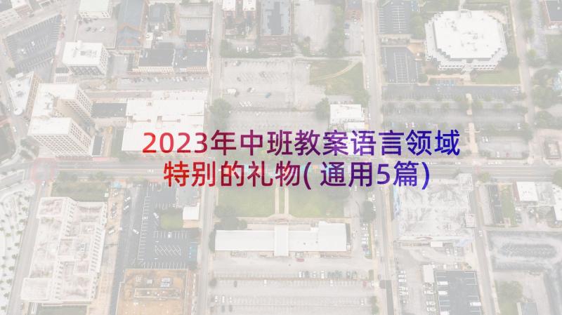 2023年中班教案语言领域特别的礼物(通用5篇)