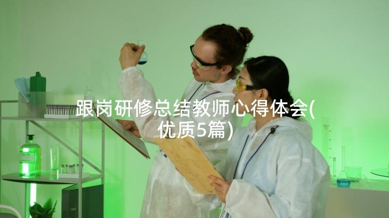 跟岗研修总结教师心得体会(优质5篇)