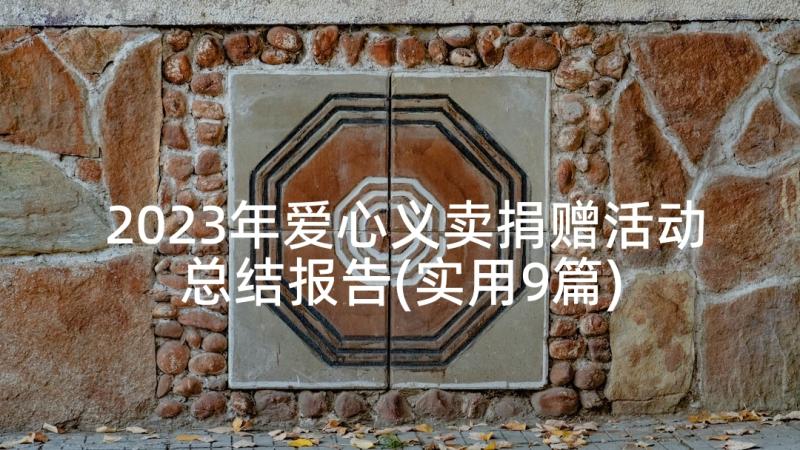 2023年爱心义卖捐赠活动总结报告(实用9篇)