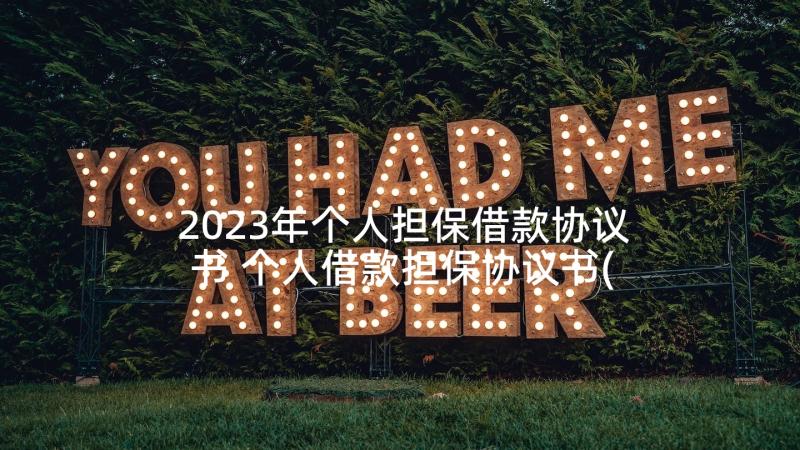 2023年个人担保借款协议书 个人借款担保协议书(优秀5篇)