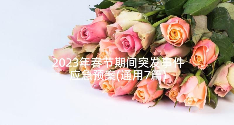 2023年春节期间突发事件应急预案(通用7篇)