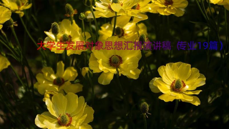 大学生发展对象思想汇报演讲稿（专业19篇）