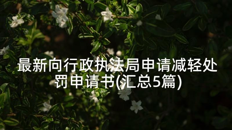 最新向行政执法局申请减轻处罚申请书(汇总5篇)