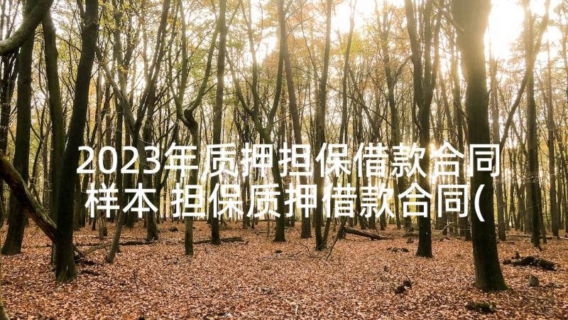 2023年质押担保借款合同样本 担保质押借款合同(精选9篇)