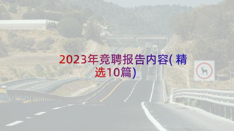 2023年竞聘报告内容(精选10篇)