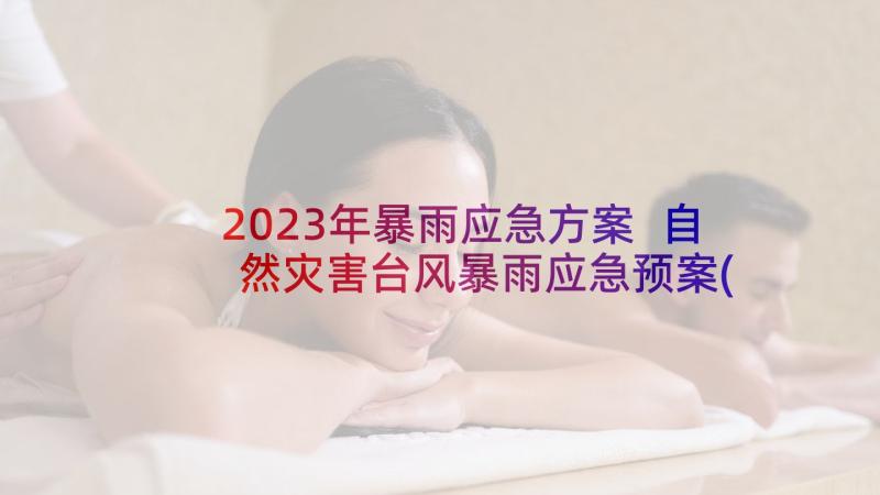 2023年暴雨应急方案 自然灾害台风暴雨应急预案(通用7篇)