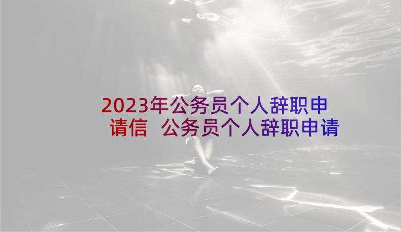 2023年公务员个人辞职申请信 公务员个人辞职申请书(模板9篇)