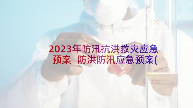 2023年防汛抗洪救灾应急预案 防洪防汛应急预案(通用6篇)