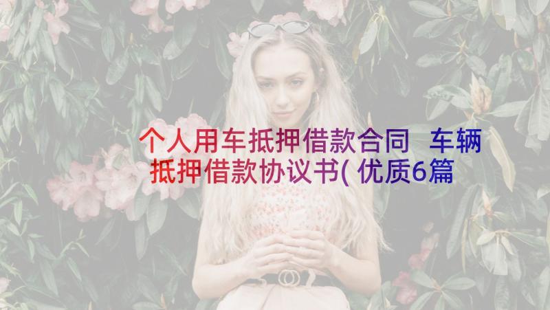 个人用车抵押借款合同 车辆抵押借款协议书(优质6篇)