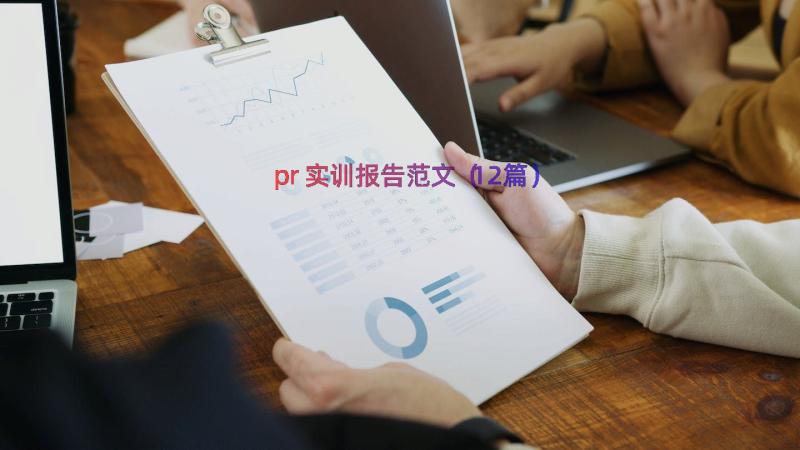 pr实训报告范文（12篇）