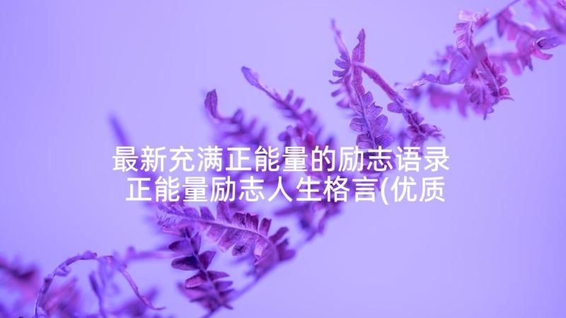 最新充满正能量的励志语录 正能量励志人生格言(优质7篇)