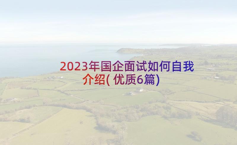 2023年国企面试如何自我介绍(优质6篇)