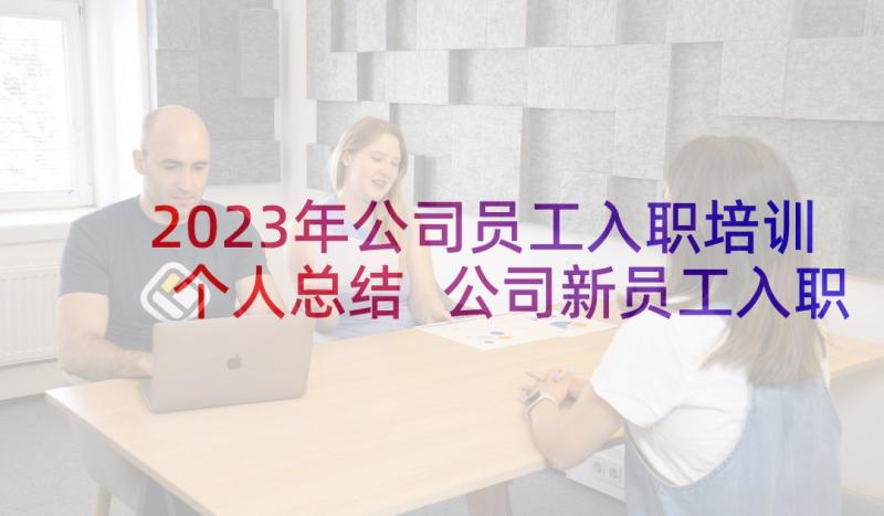 2023年公司员工入职培训个人总结 公司新员工入职培训个人总结(模板5篇)