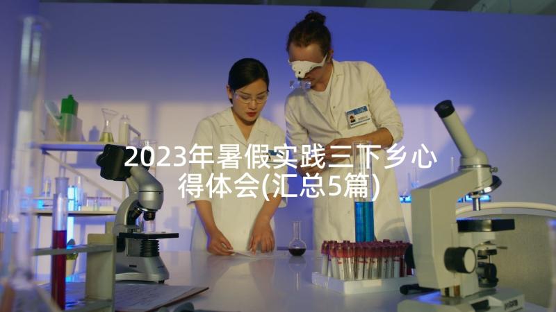 2023年暑假实践三下乡心得体会(汇总5篇)