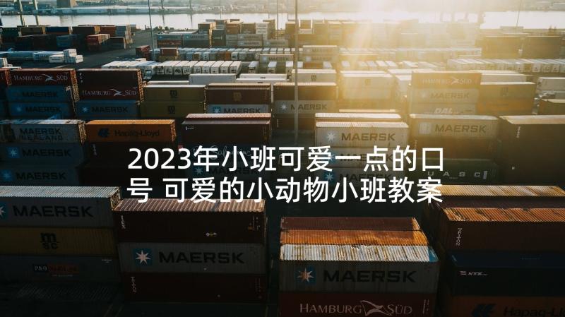 2023年小班可爱一点的口号 可爱的小动物小班教案(汇总5篇)