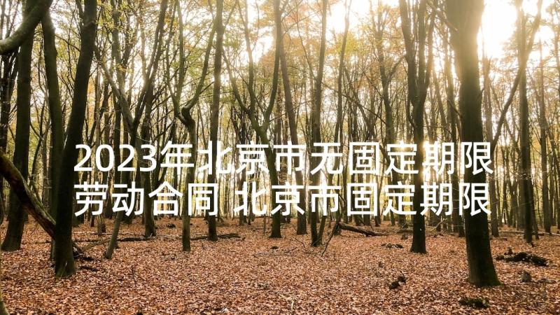 2023年北京市无固定期限劳动合同 北京市固定期限劳动合同(通用7篇)