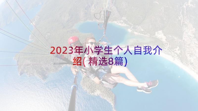 2023年小学生个人自我介绍(精选8篇)