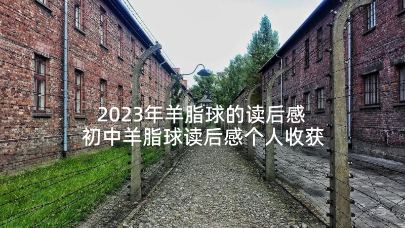 2023年羊脂球的读后感 初中羊脂球读后感个人收获(优质5篇)