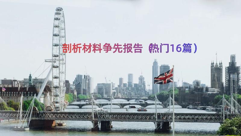 剖析材料争先报告（热门16篇）