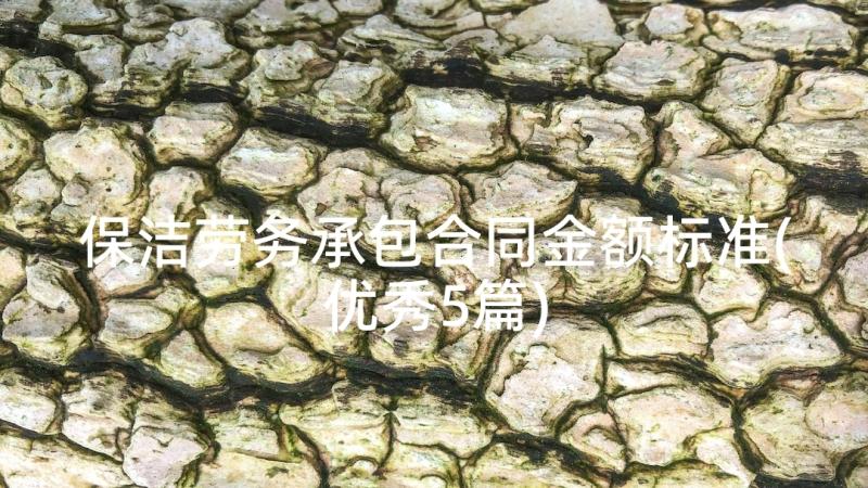 保洁劳务承包合同金额标准(优秀5篇)