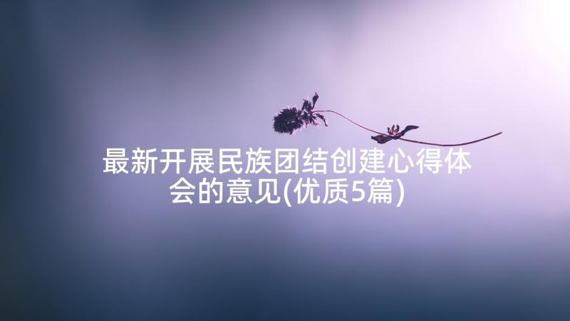 最新开展民族团结创建心得体会的意见(优质5篇)