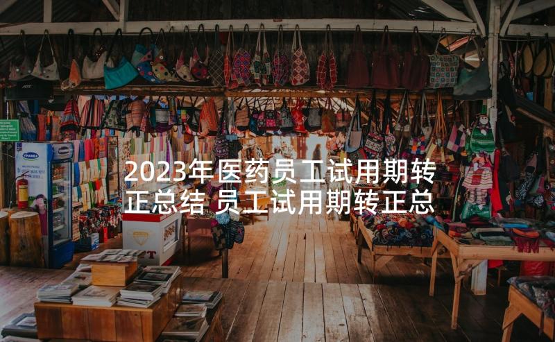 2023年医药员工试用期转正总结 员工试用期转正总结(汇总6篇)