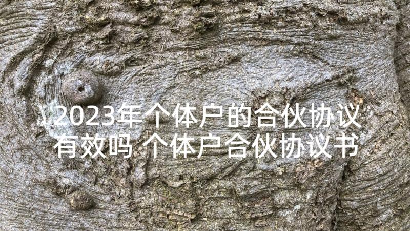 2023年个体户的合伙协议有效吗 个体户合伙协议书(优秀5篇)